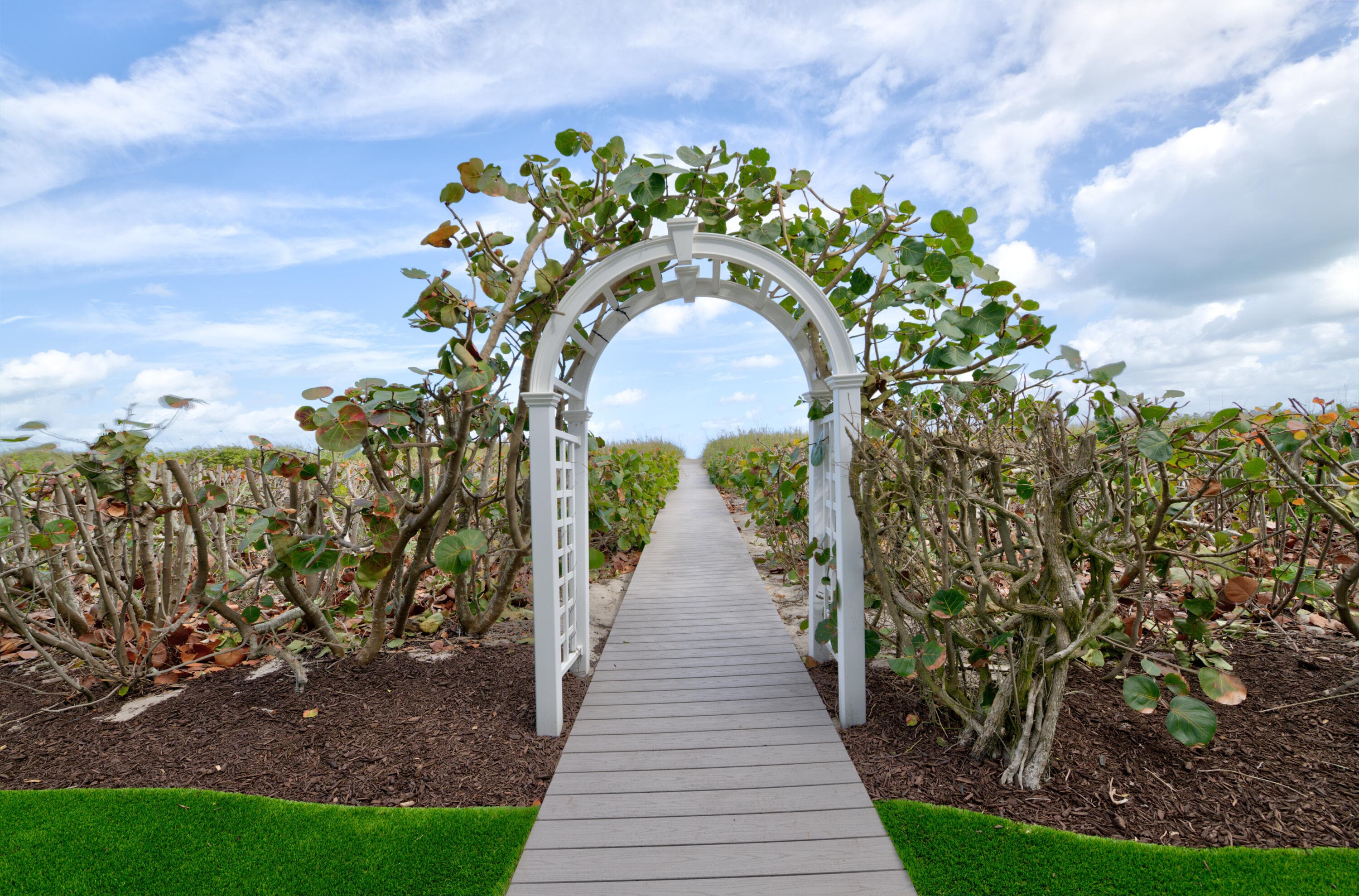 113 N Beach Road, Jupiter Island, FL 33455 — photo 50 of 66