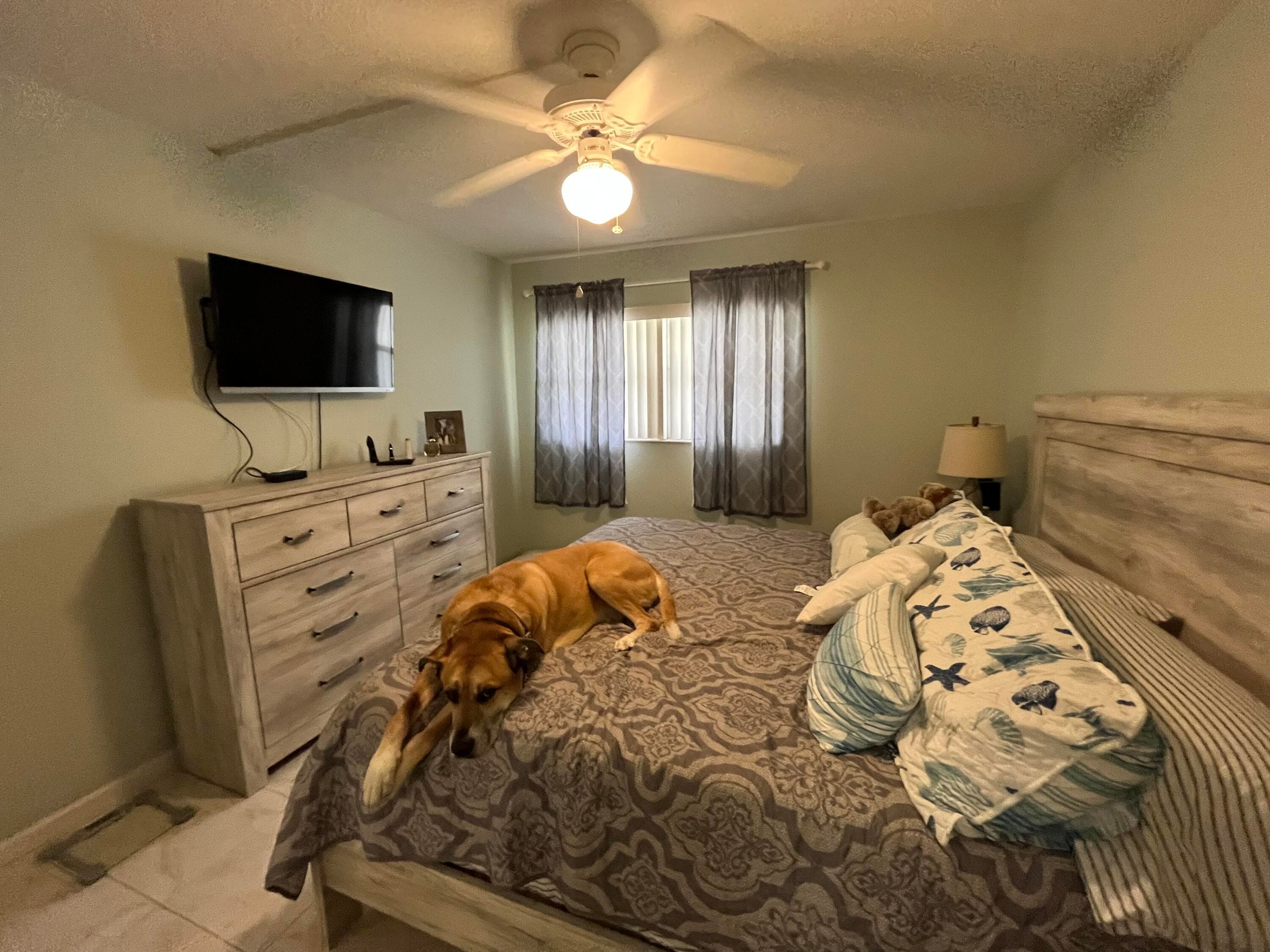 161 Saxony D, Delray Beach, FL 33446 — photo 13 of 29