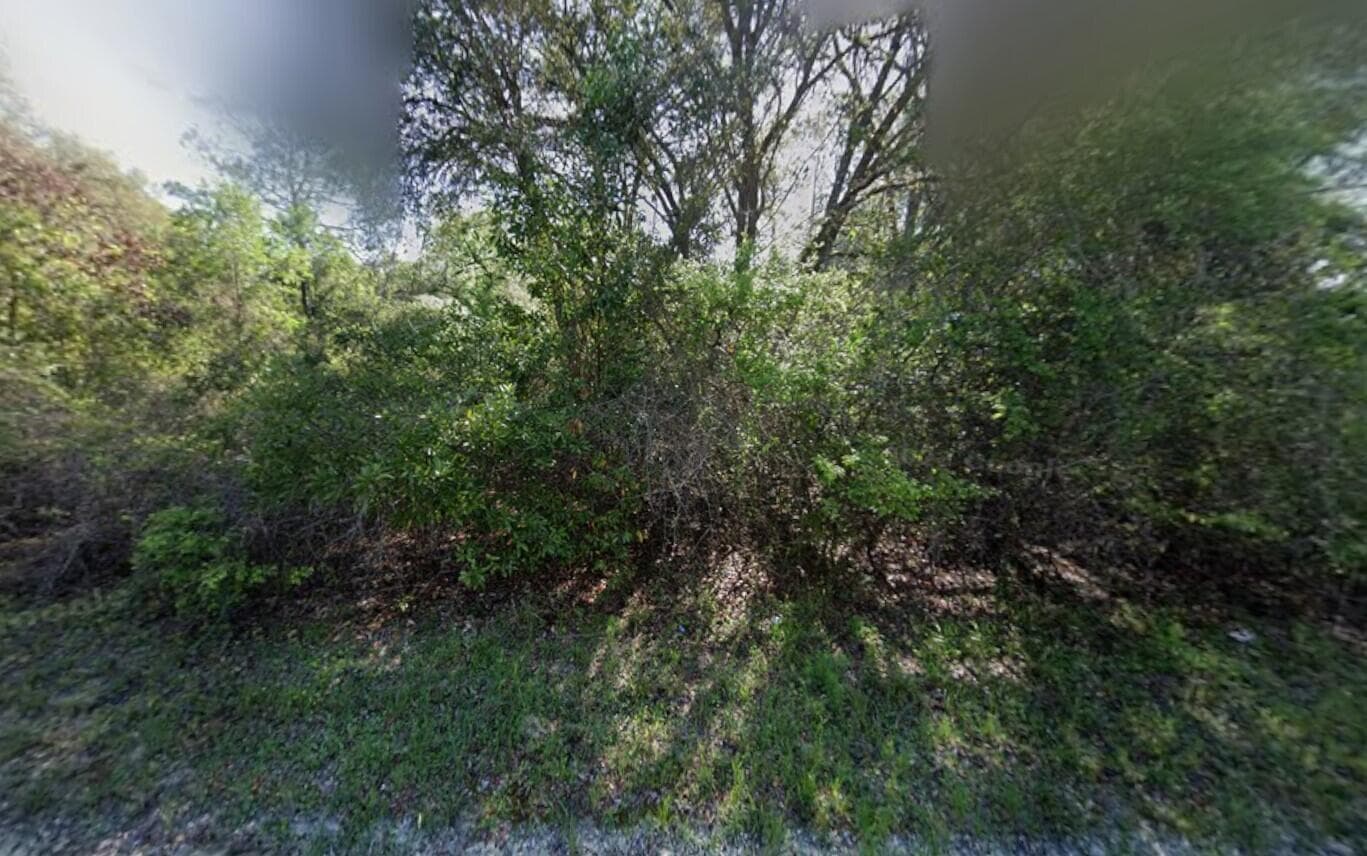 Tbd NE 799th Street, Old Town, FL 32680 — photo 1 of 2
