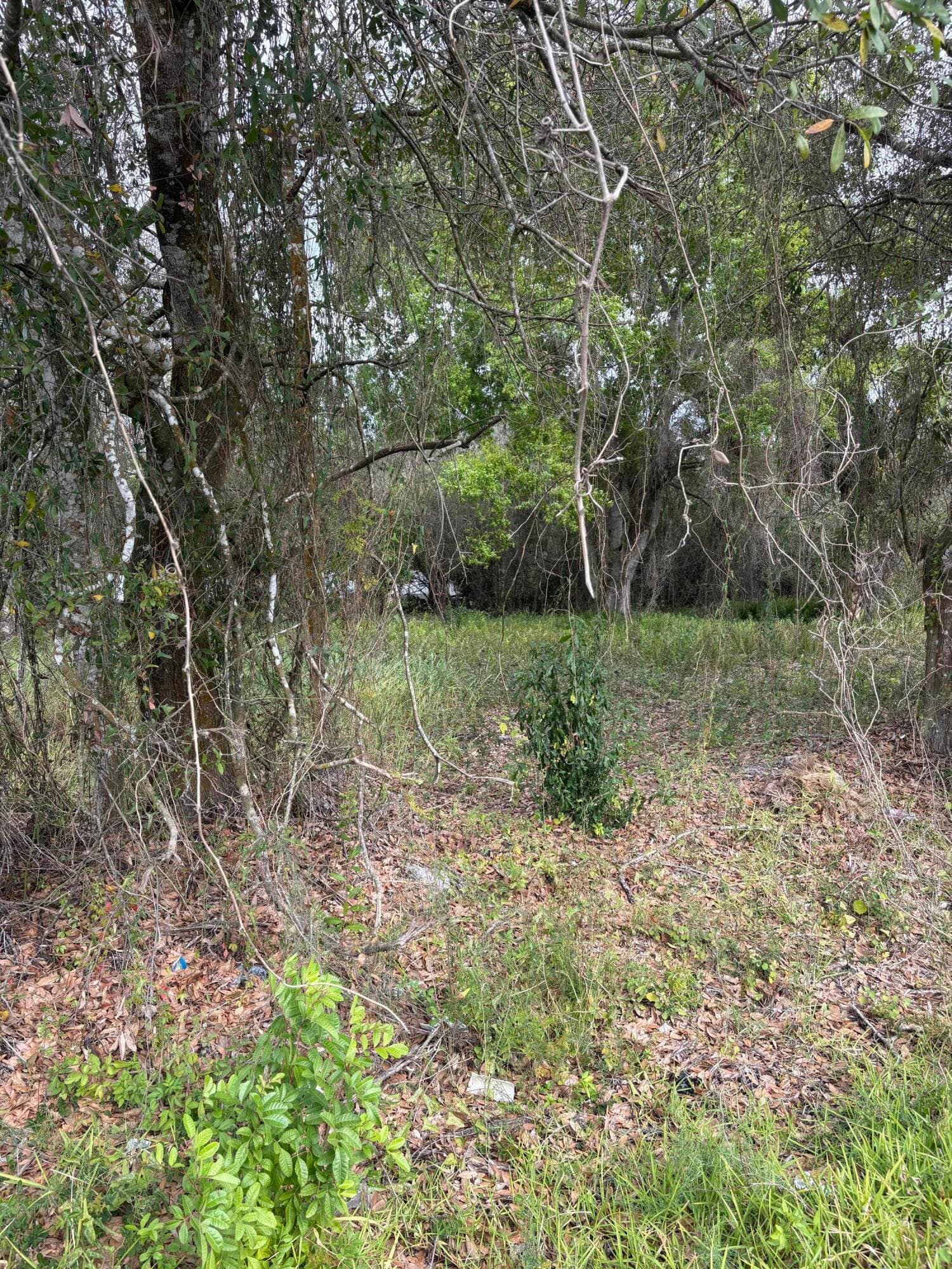 0 NW 1st Street, Okeechobee, FL 34972 — photo 2 of 12