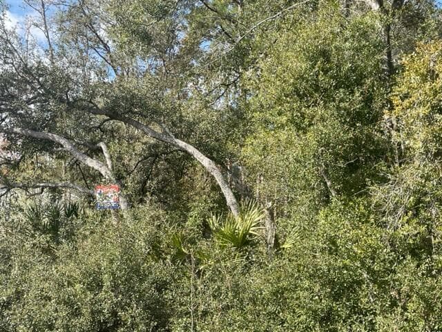 000 Malauka Cir Circle, Ocklawaha, FL 32179 — photo