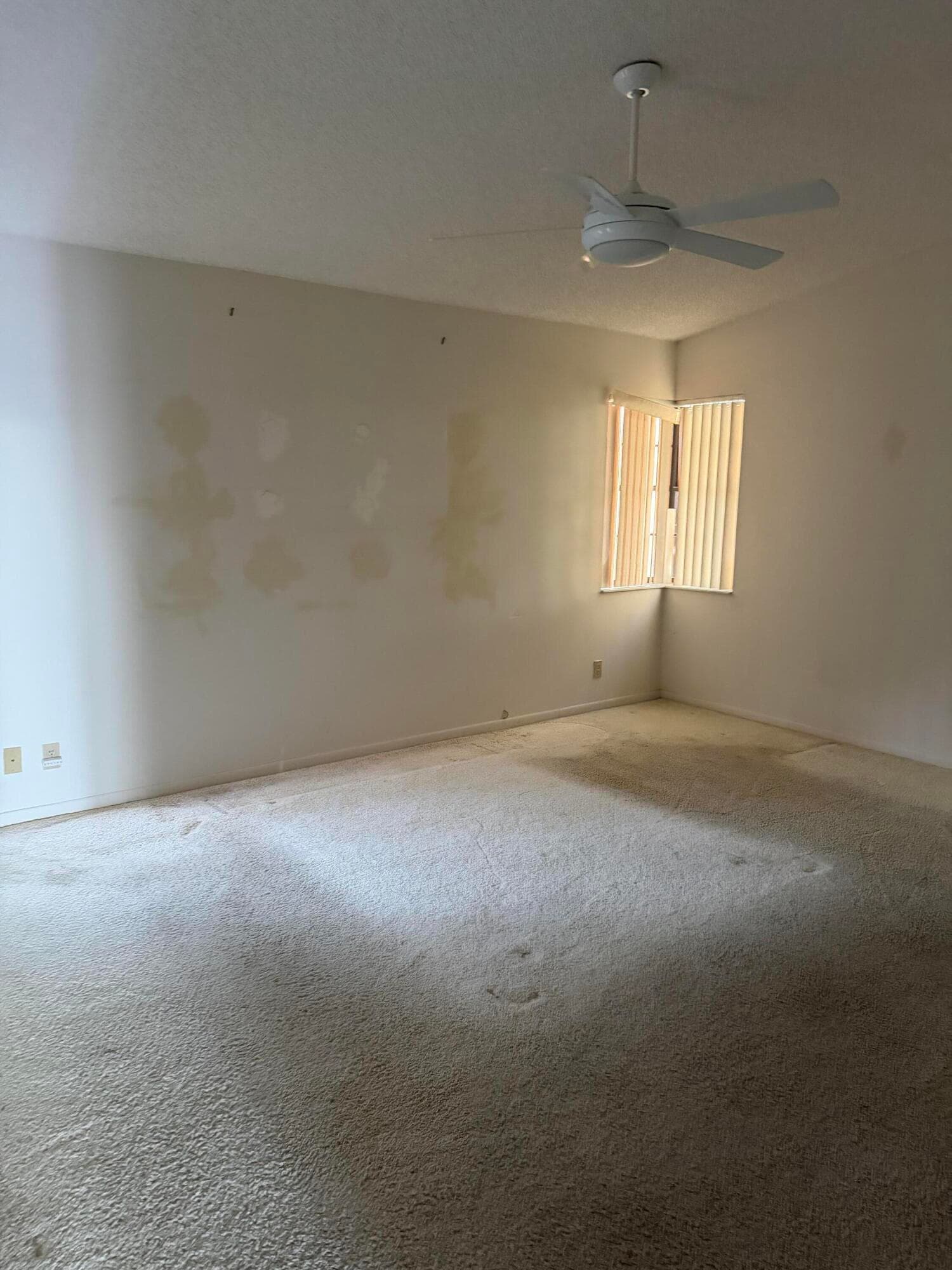 8810 Boatswain Drive, Boynton Beach, FL 33436 — photo 14 of 15