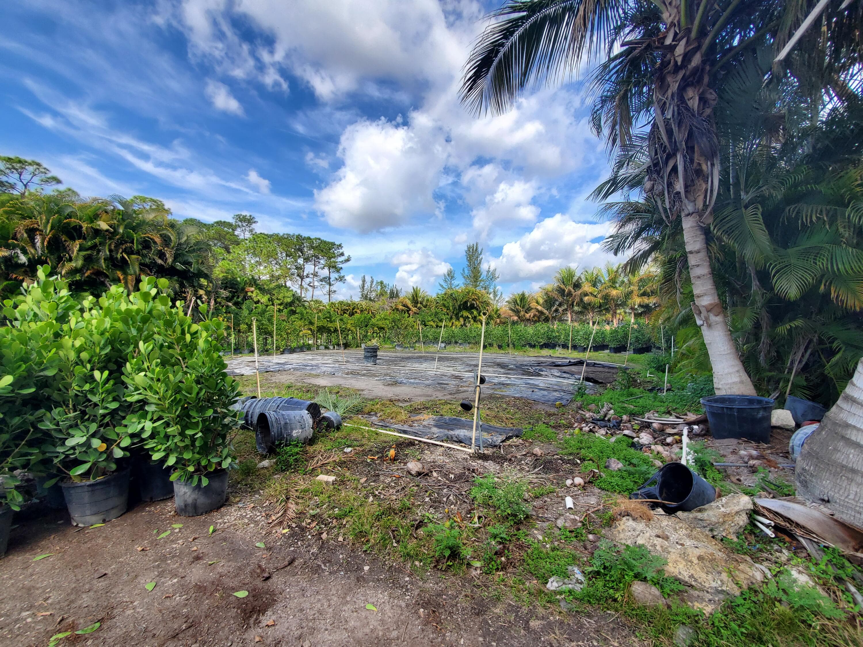 10655 61st Street S, Wellington, FL 33449 — photo 9 of 30