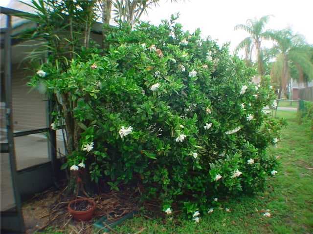 5664 Pebble Brook Lane, Boynton Beach, FL 33472 — photo 41 of 48