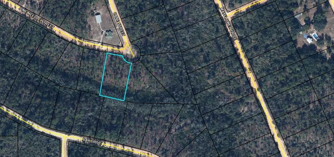 Tbd Pine Needle Street, Marianna, FL 32448 — photo
