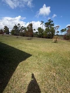777 SE Bloomfield Road SE, Port St. Lucie, FL 34984 — photo 18 of 19
