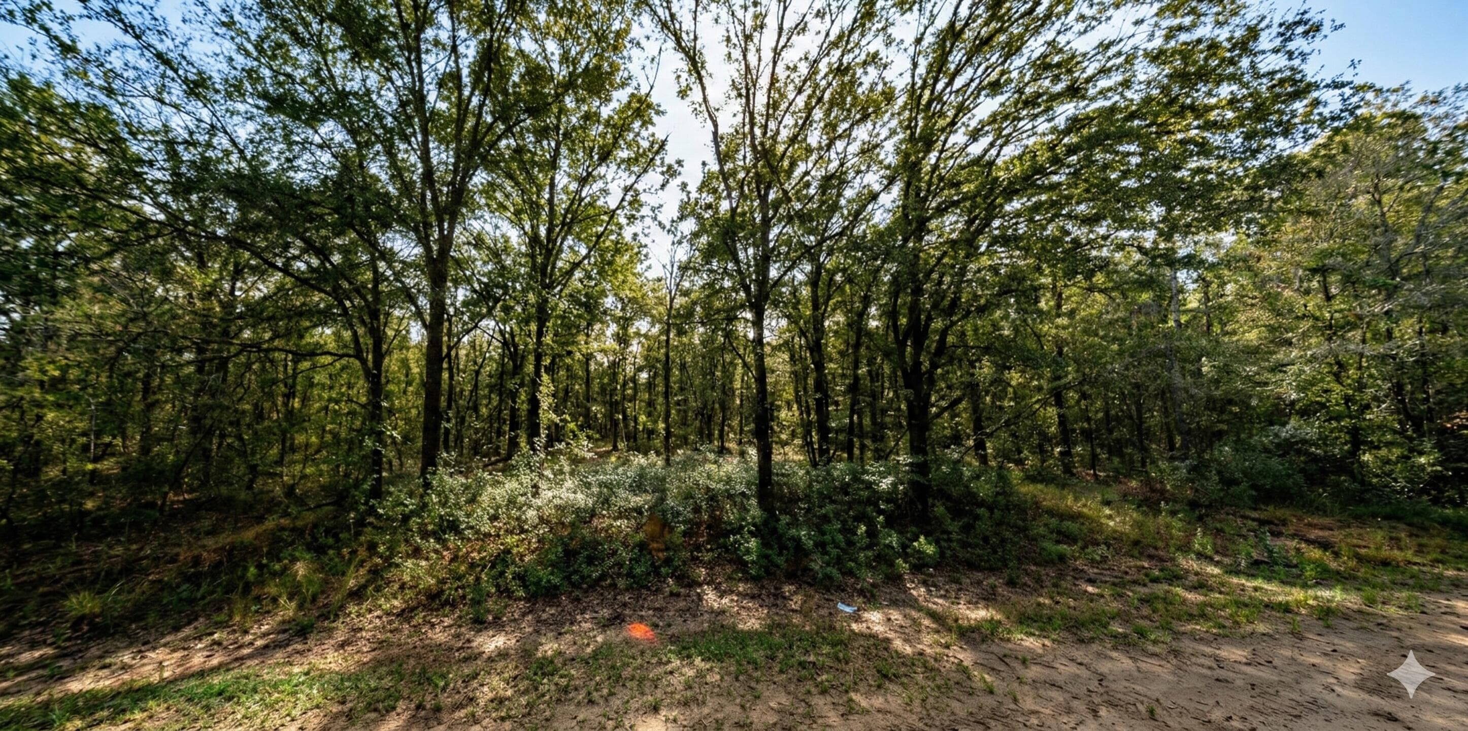 4815 Randolph Street, Hastings, FL 32145 — photo
