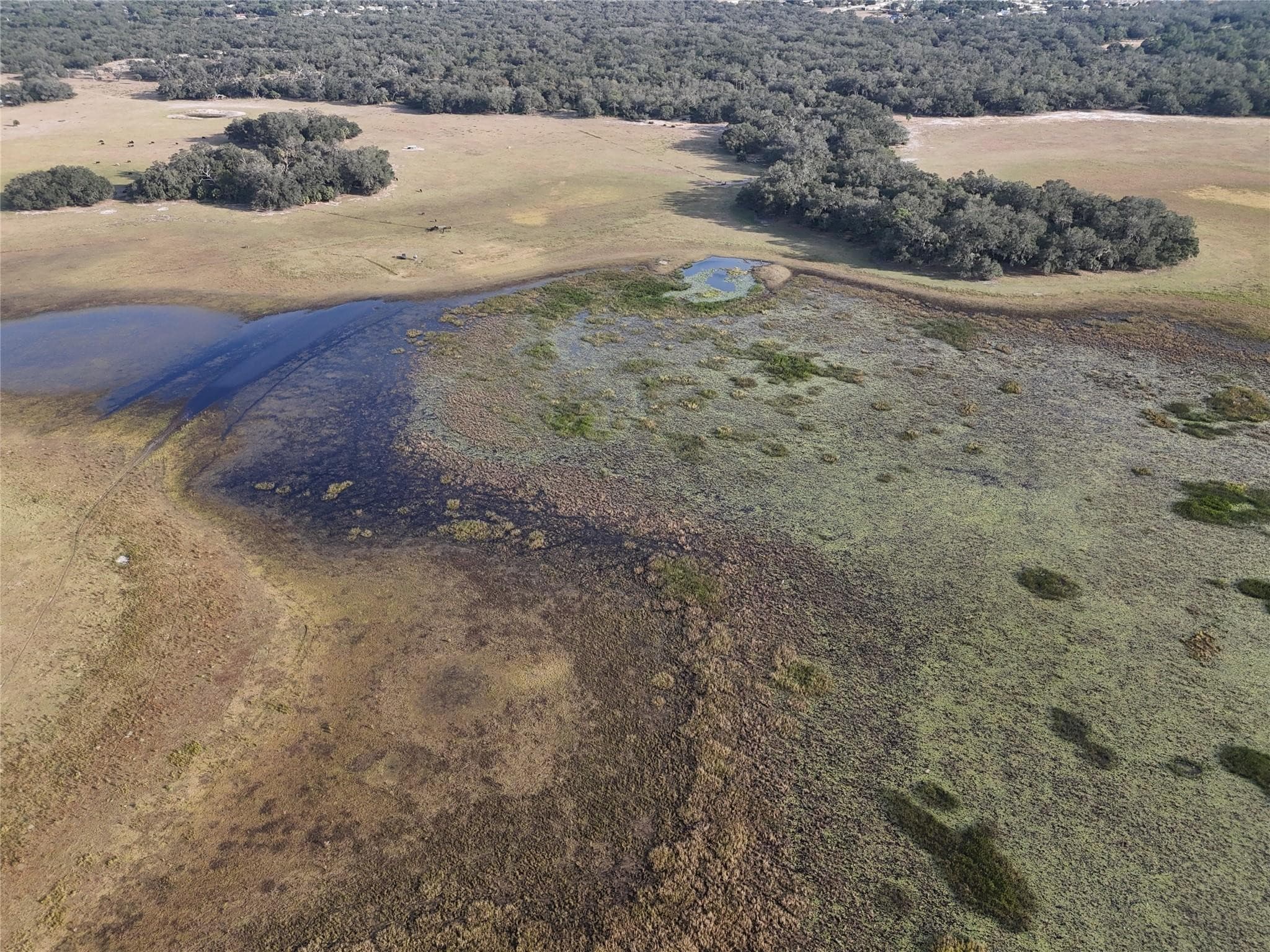 0 Lake Hatcheneha, Haines City, FL 33844 — photo 20 of 30