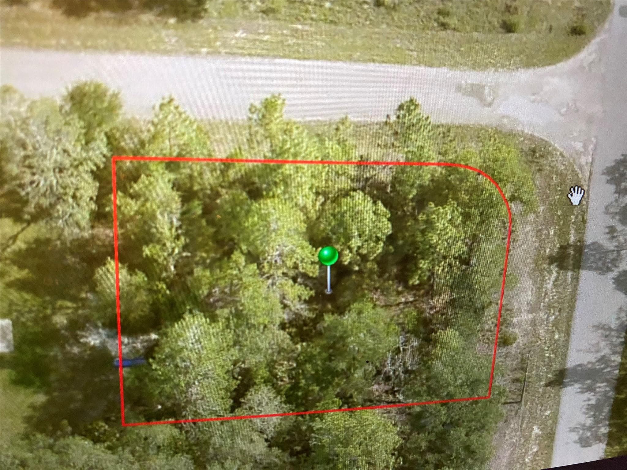 6689 N Bedstrow Boulevard, Citrus Springs, FL 34434 — photo 2 of 3