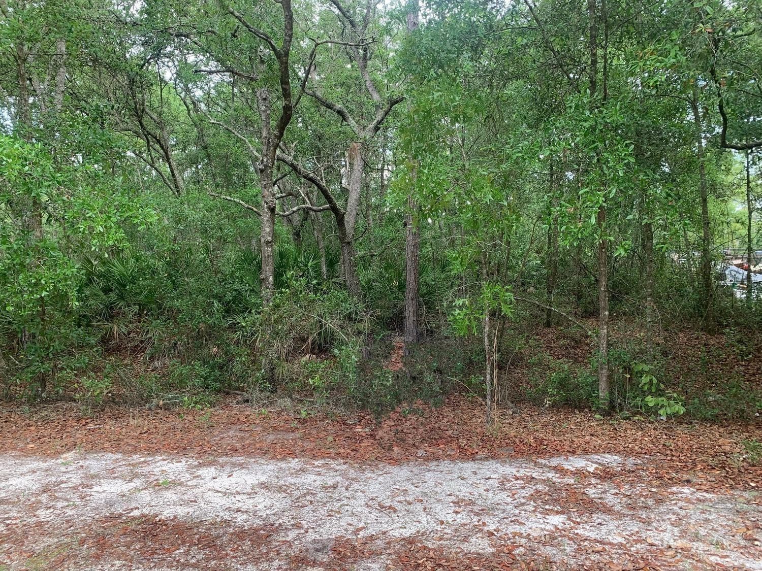 209 Highline Trail, Satsuma, FL 32189 — photo