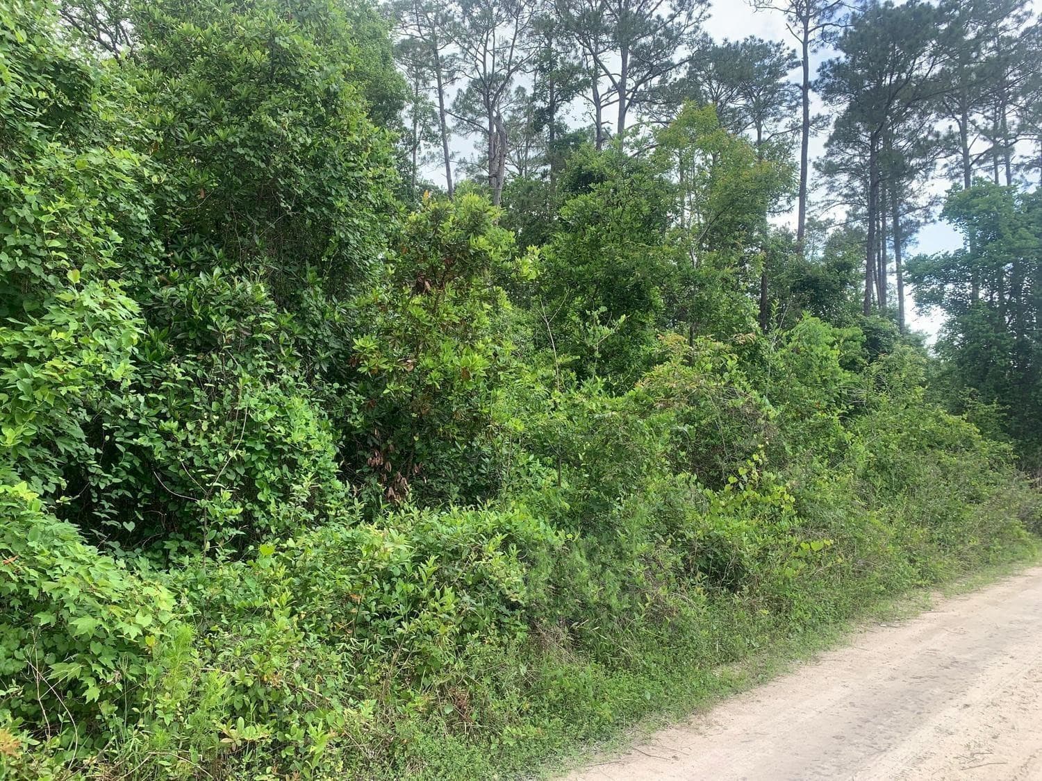 0 Coot Drive, Satsuma, FL 32189 — photo