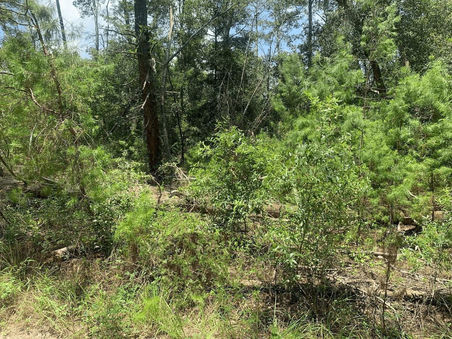 111 New York Avenue, Satsuma, FL 32148 — photo