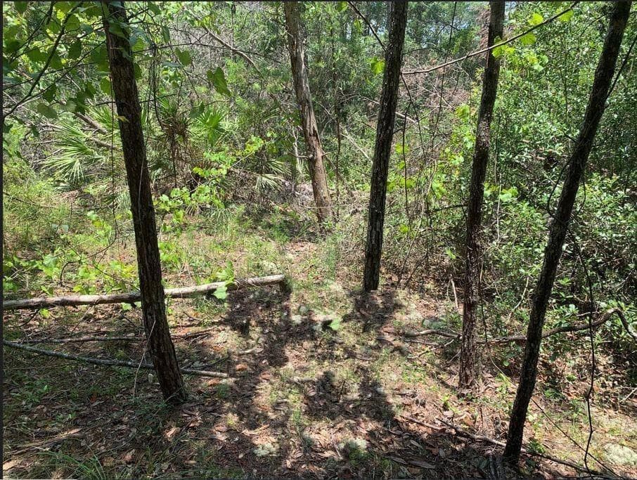 213 Kansas Street, Satsuma, FL 32189 — photo