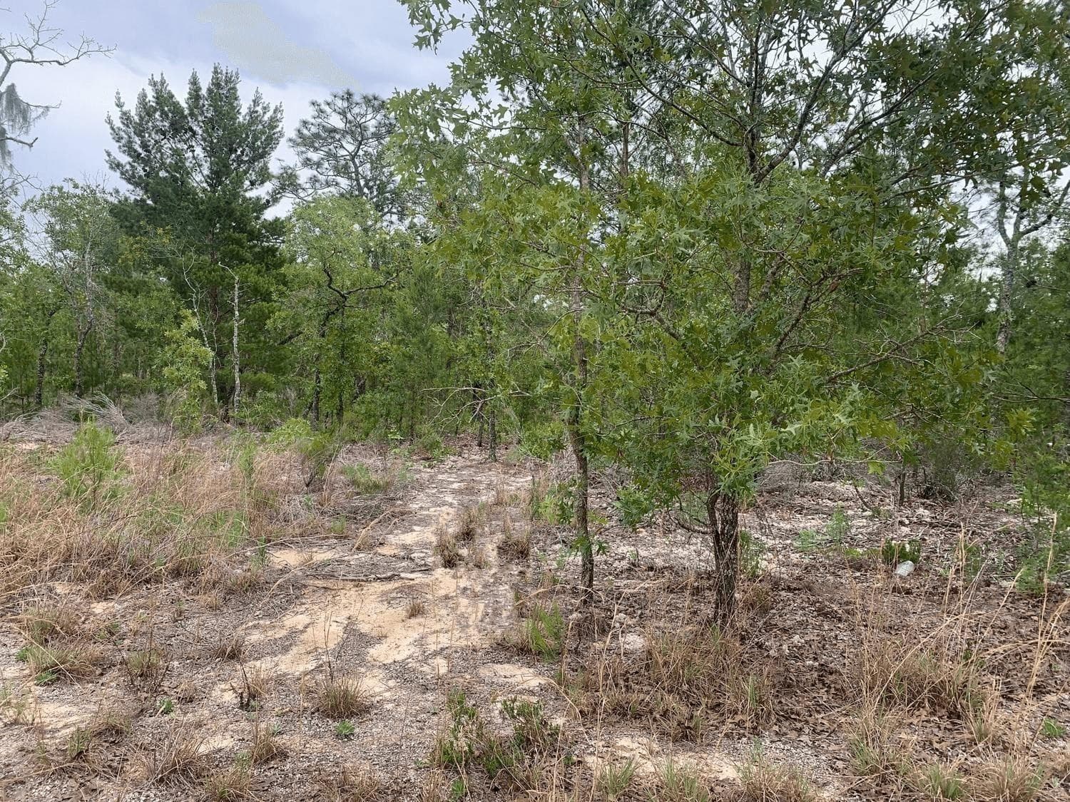 0 Gray Street, Interlachen, FL 32148 — photo