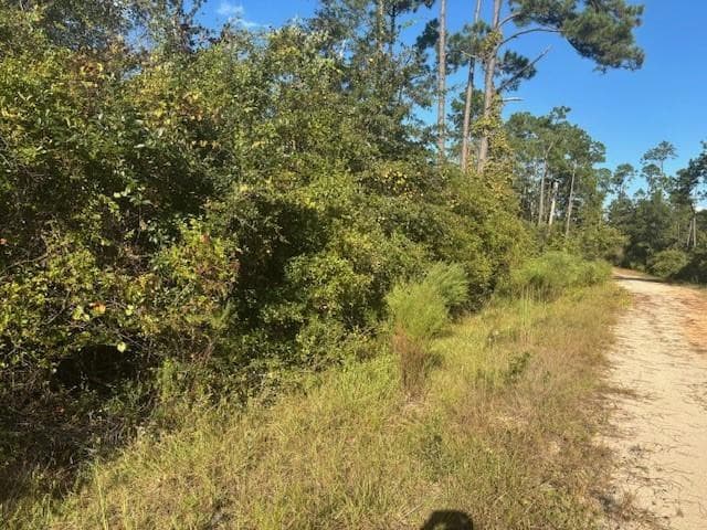 0 Mulberry Drive, Marianna, FL 32448 — photo