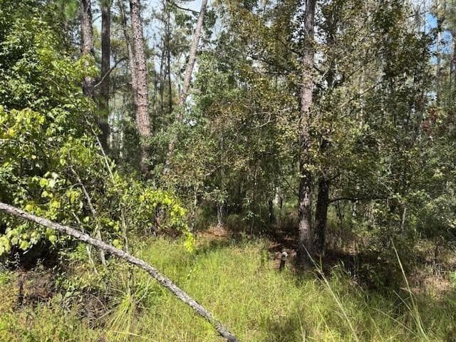 0 County Rd 54, Kathleen, FL 33849 — photo 1 of 2