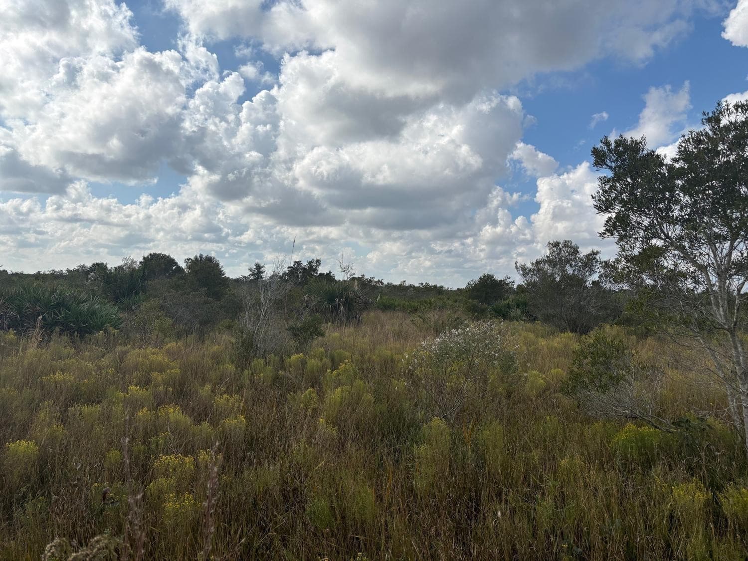 0 NW 314th Street, Okeechobee, FL 34972 — photo 1 of 2