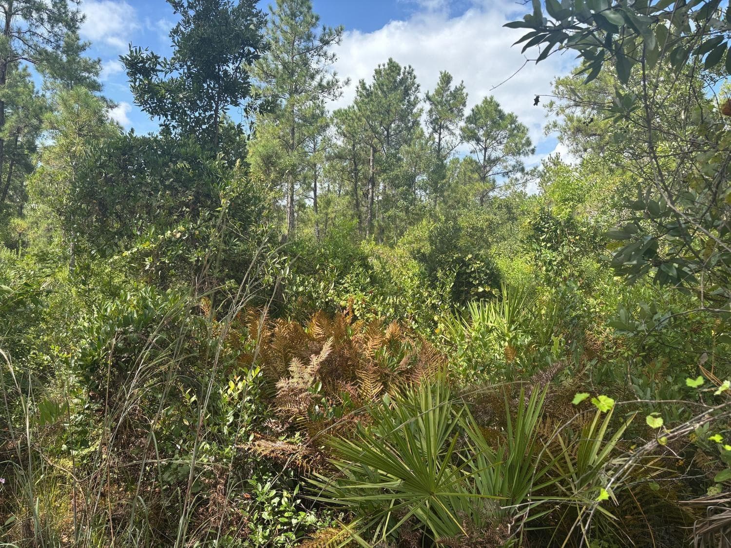 0 Hwy 630e, Frostproof, FL 33843 — photo 2 of 2