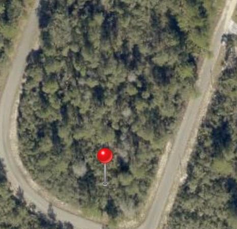 TBD FISHER WAY TRACK Tbd Fisher Way Track Fisher Way, Ocklawaha, FL 32179 — photo