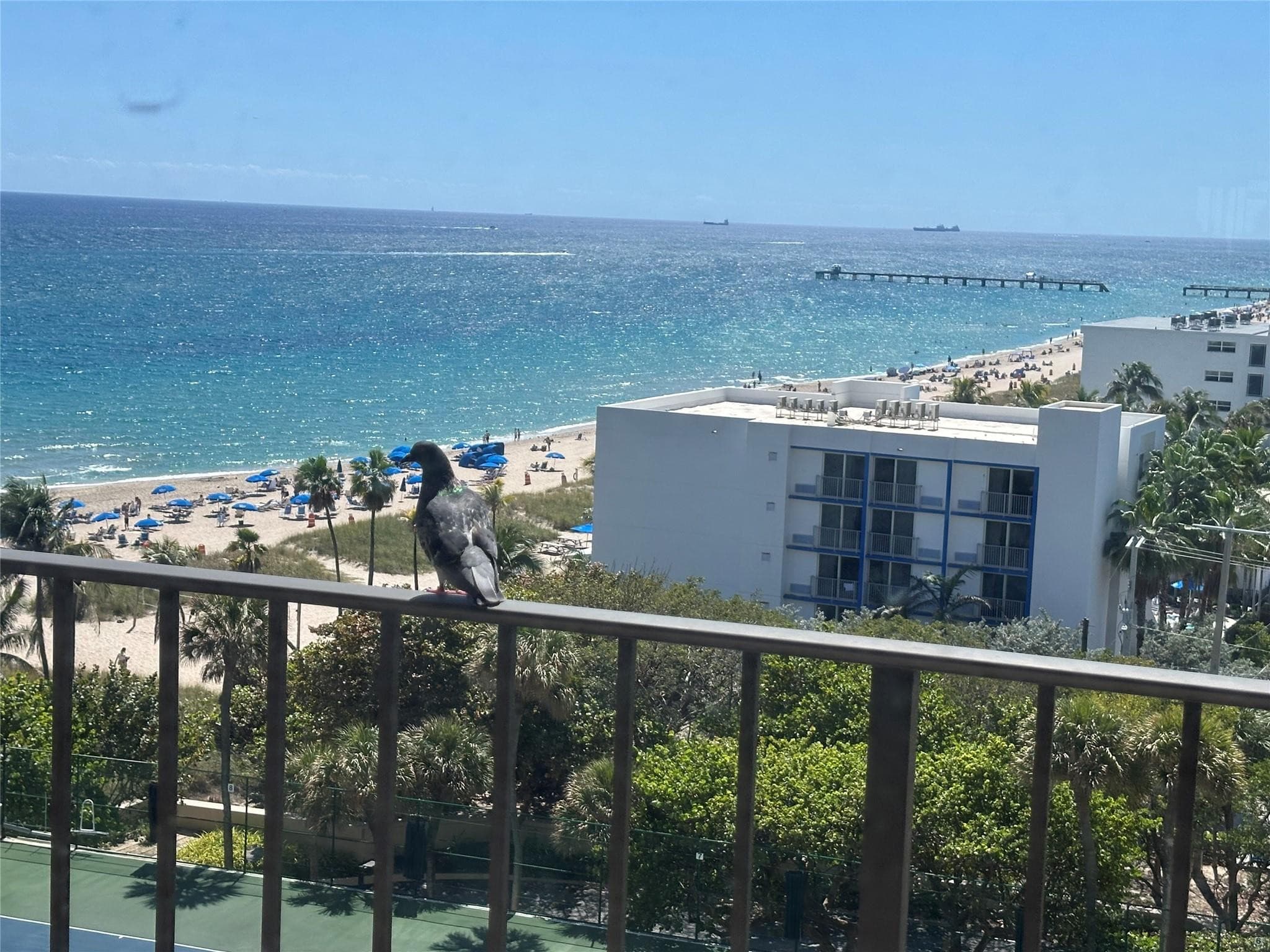 4900 N Ocean Boulevard 1003, Lauderdale-By-The-Sea, FL 33308 — photo 1 of 26