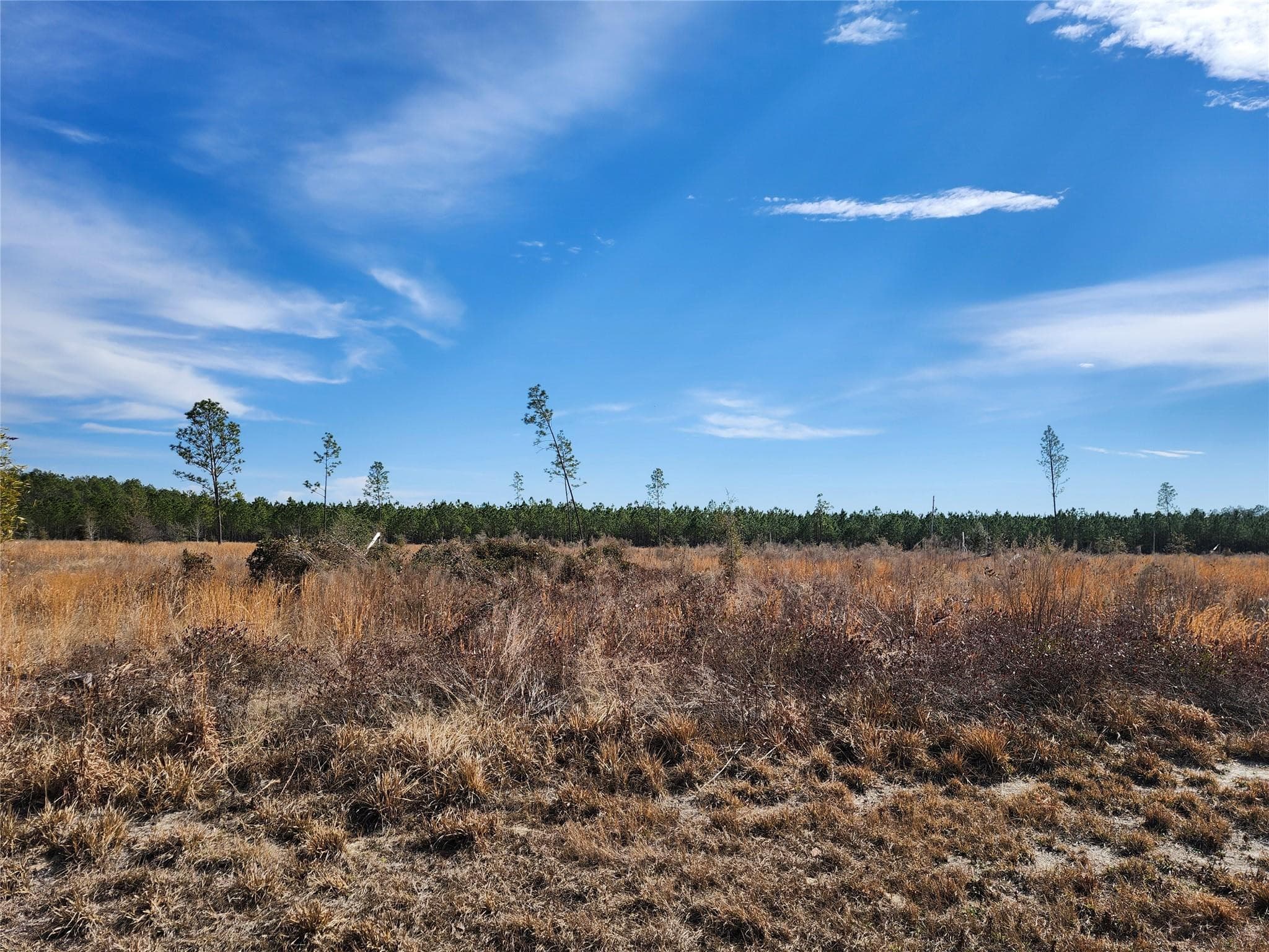 Lot 50 Fl-50, Live Oak, FL 32060 — photo