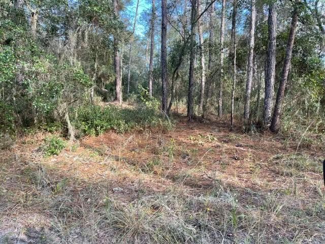 417 Incline, Satsuma, FL 32189 — photo