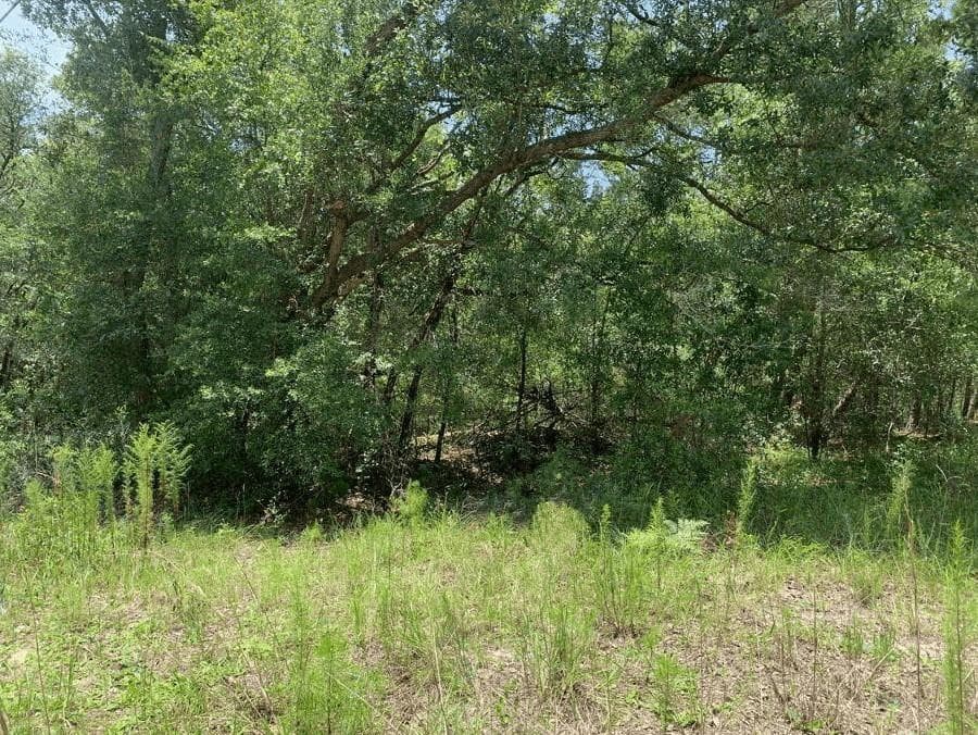 0 Oklahoma Avenue, Satsuma, FL 32189 — photo