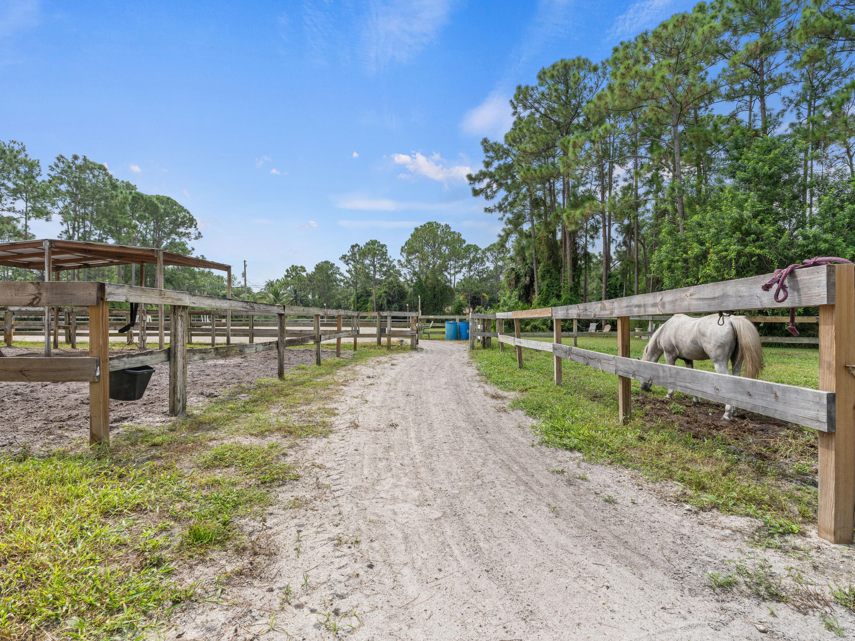 18392 N 50th St Street N, Loxahatchee, FL 33470 — photo 34 of 39