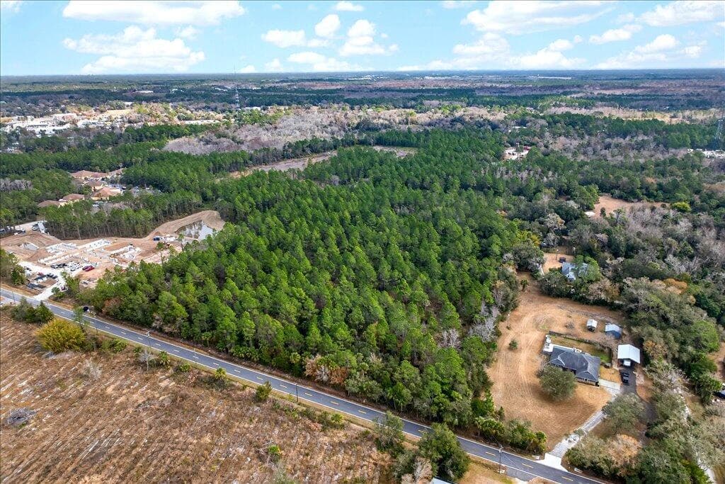 0 Old Haw Creek Road, Bunnell, FL 32110 — photo 10 of 25