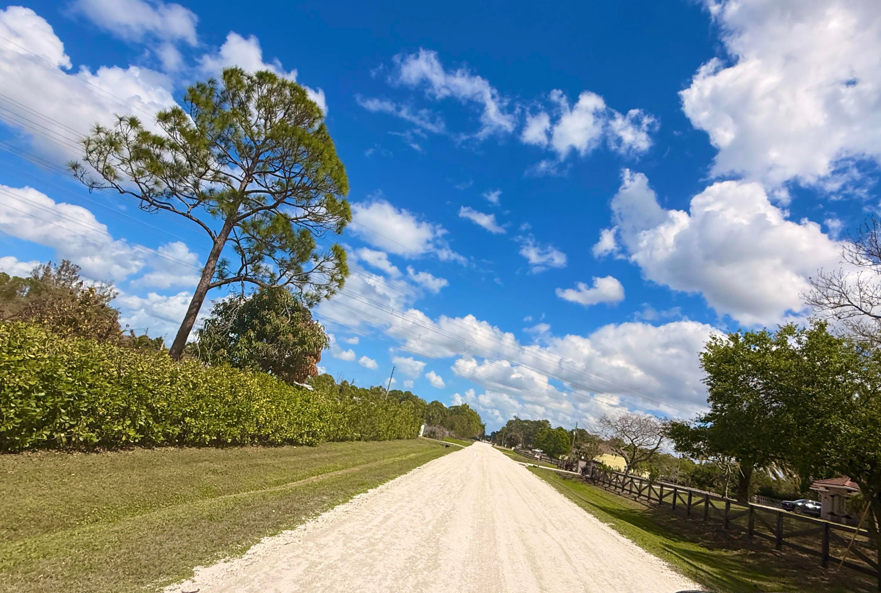 13964 N 69th St Street N, The Acreage, FL 33412 — photo 175 of 200