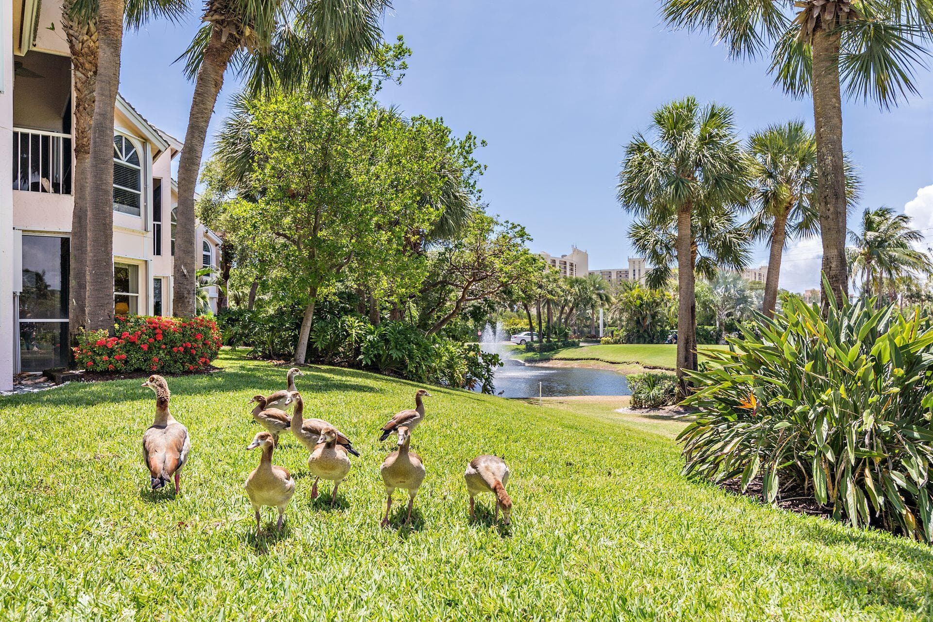 4409 N Fairway Dr Drive N, Jupiter, FL 33477 — photo 24 of 40