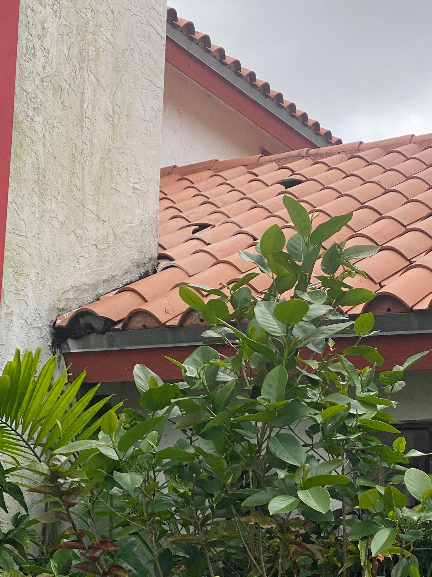 7350 NW 54th Court, Lauderhill, FL 33319 — photo 33 of 40