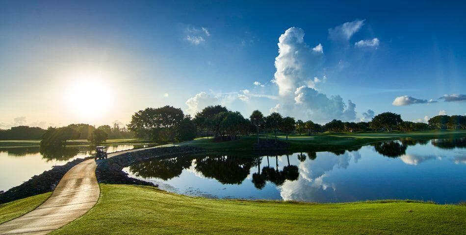 8367 Quail Meadow Way, West Palm Beach, FL 33412 — photo 47 of 58