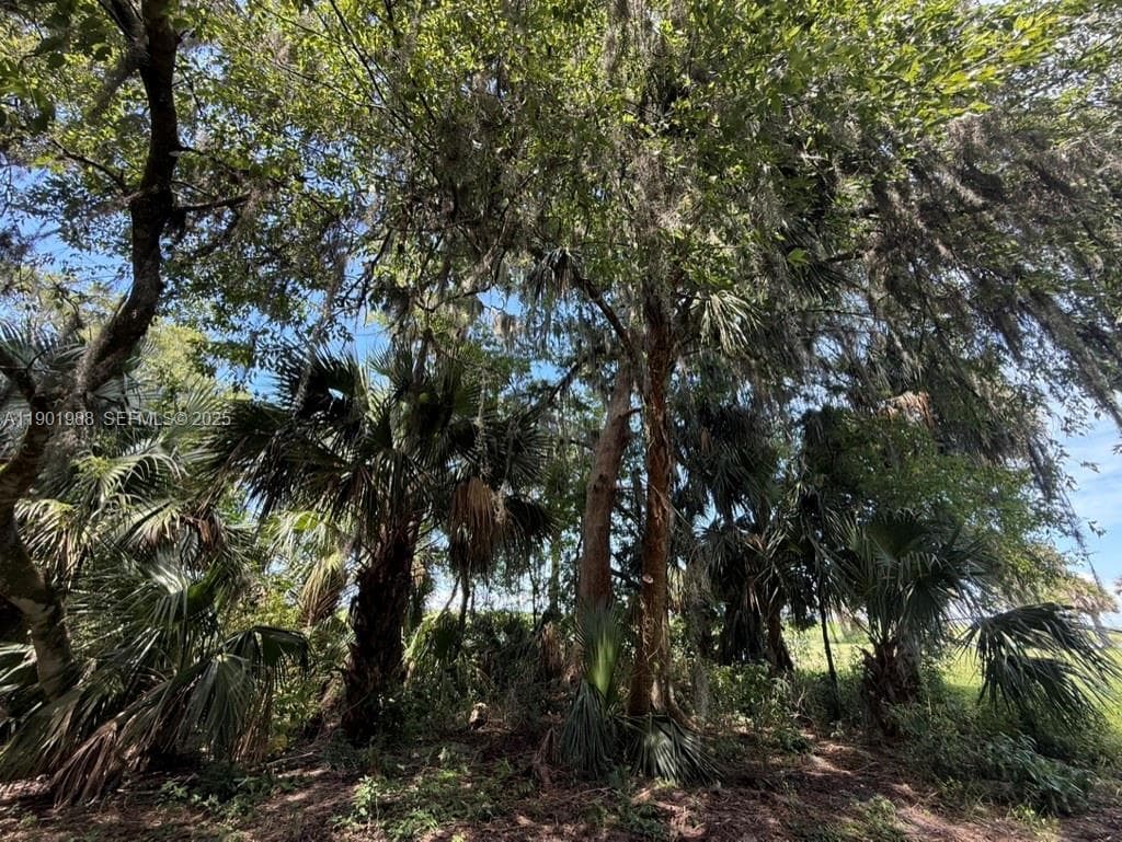 12600 SW Conners Highway, Okeechobee, FL 34974 — photo 30 of 60