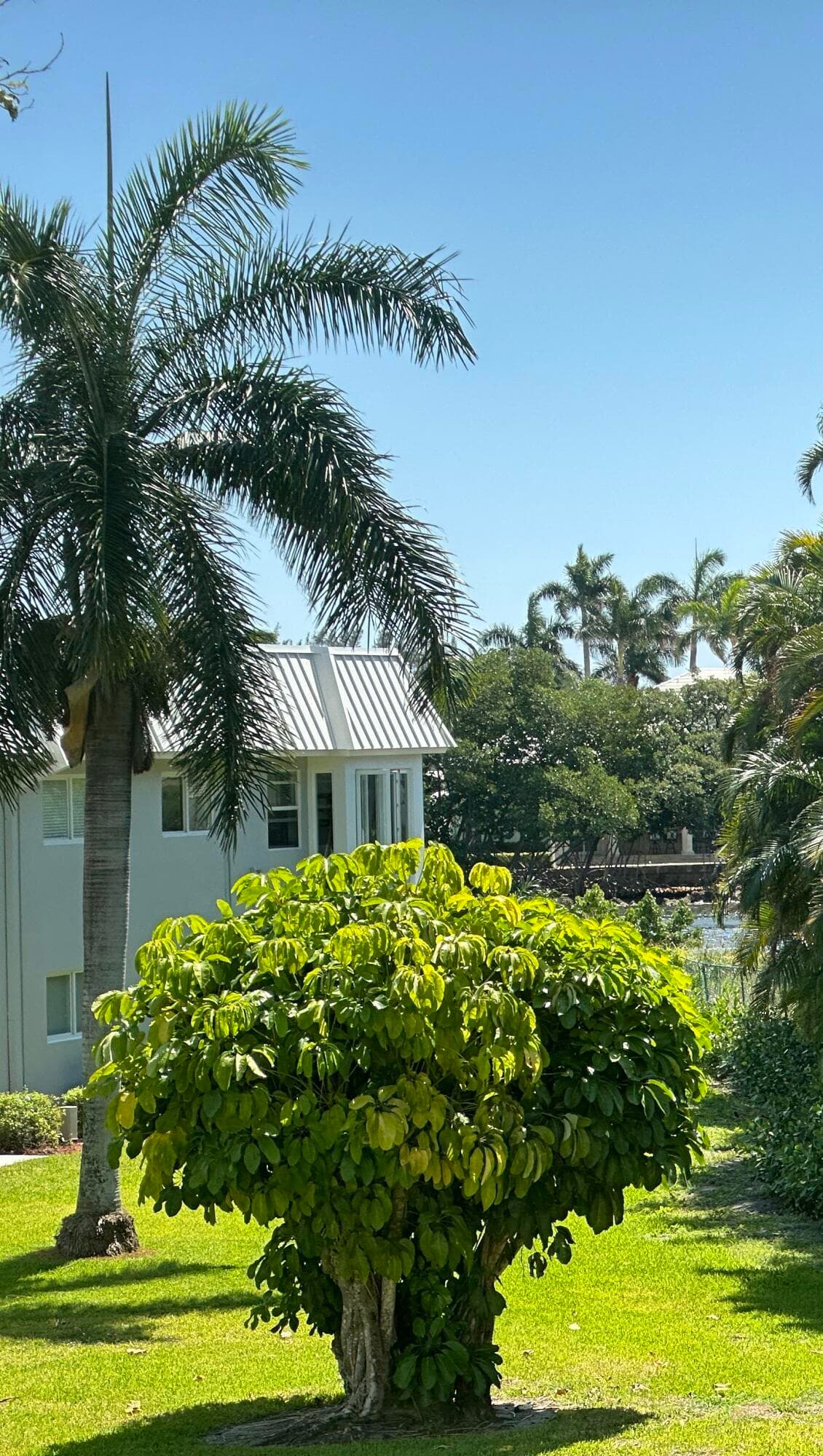 33 Colonial Club Drive 203, Boynton Beach, FL 33435 — photo 39 of 51