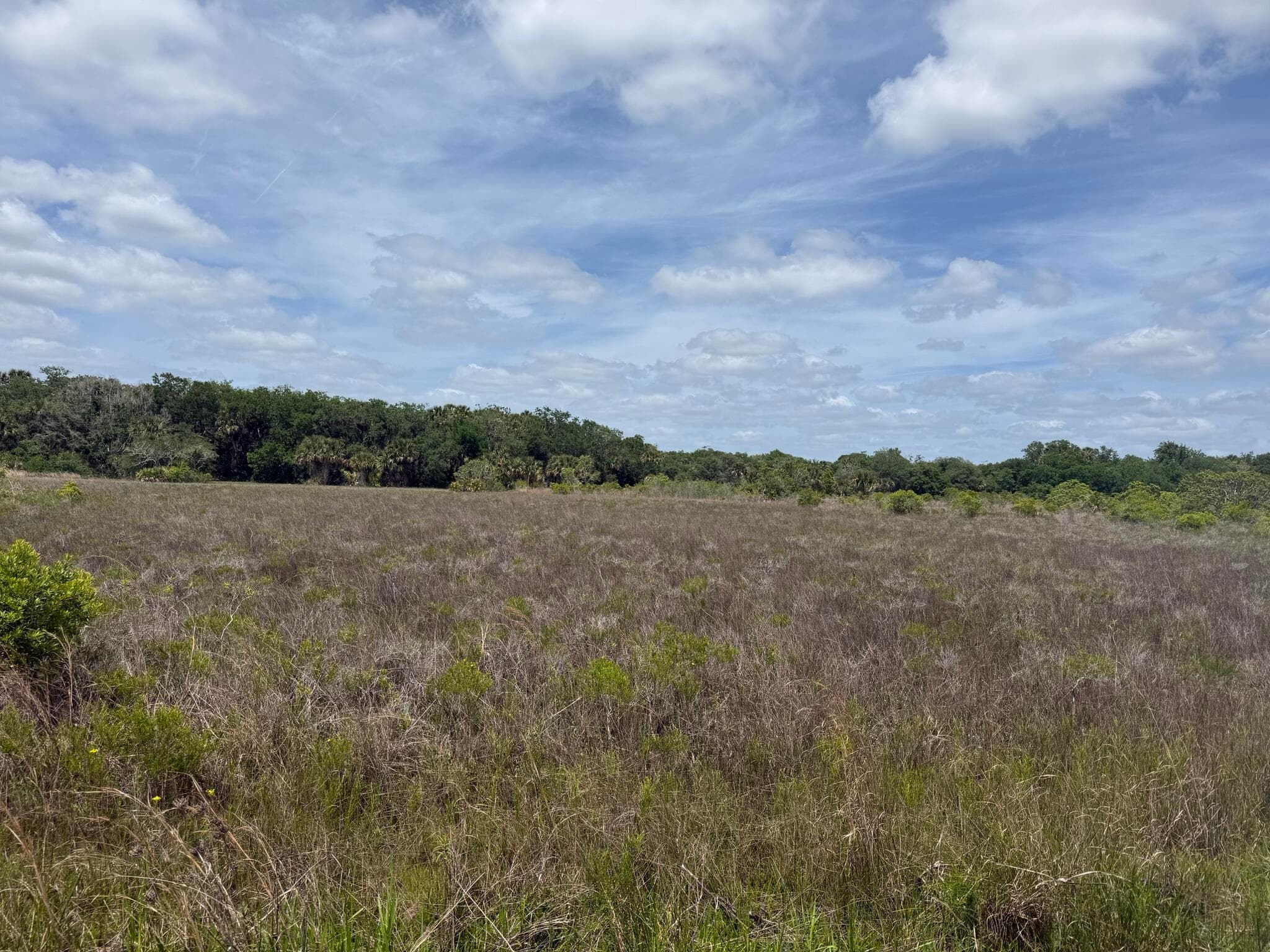 15575 NW 296th Street, Okeechobee, FL 34972 — photo 1 of 9