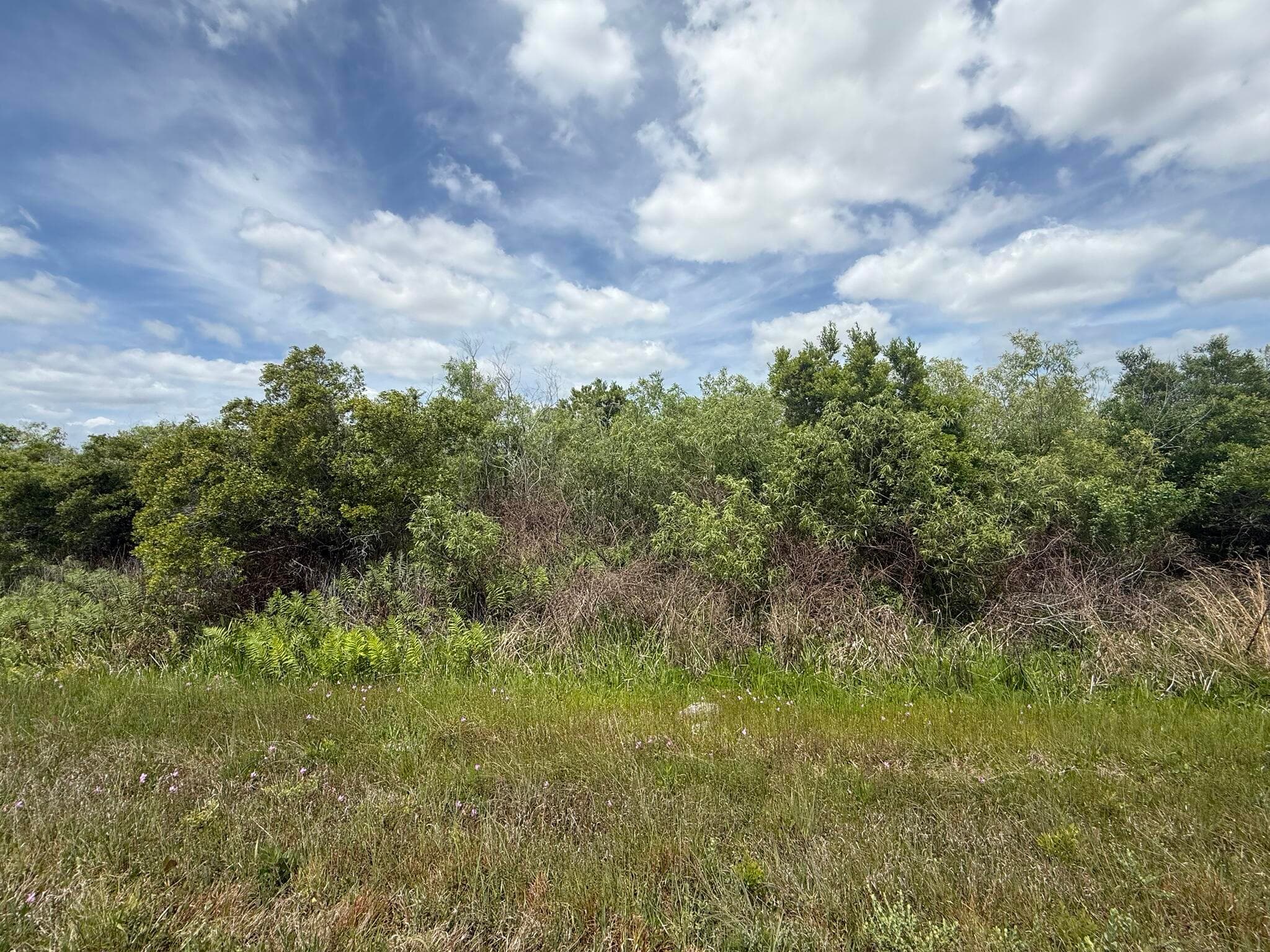 15837 NW 282nd Street, Okeechobee, FL 34972 — photo 7 of 11