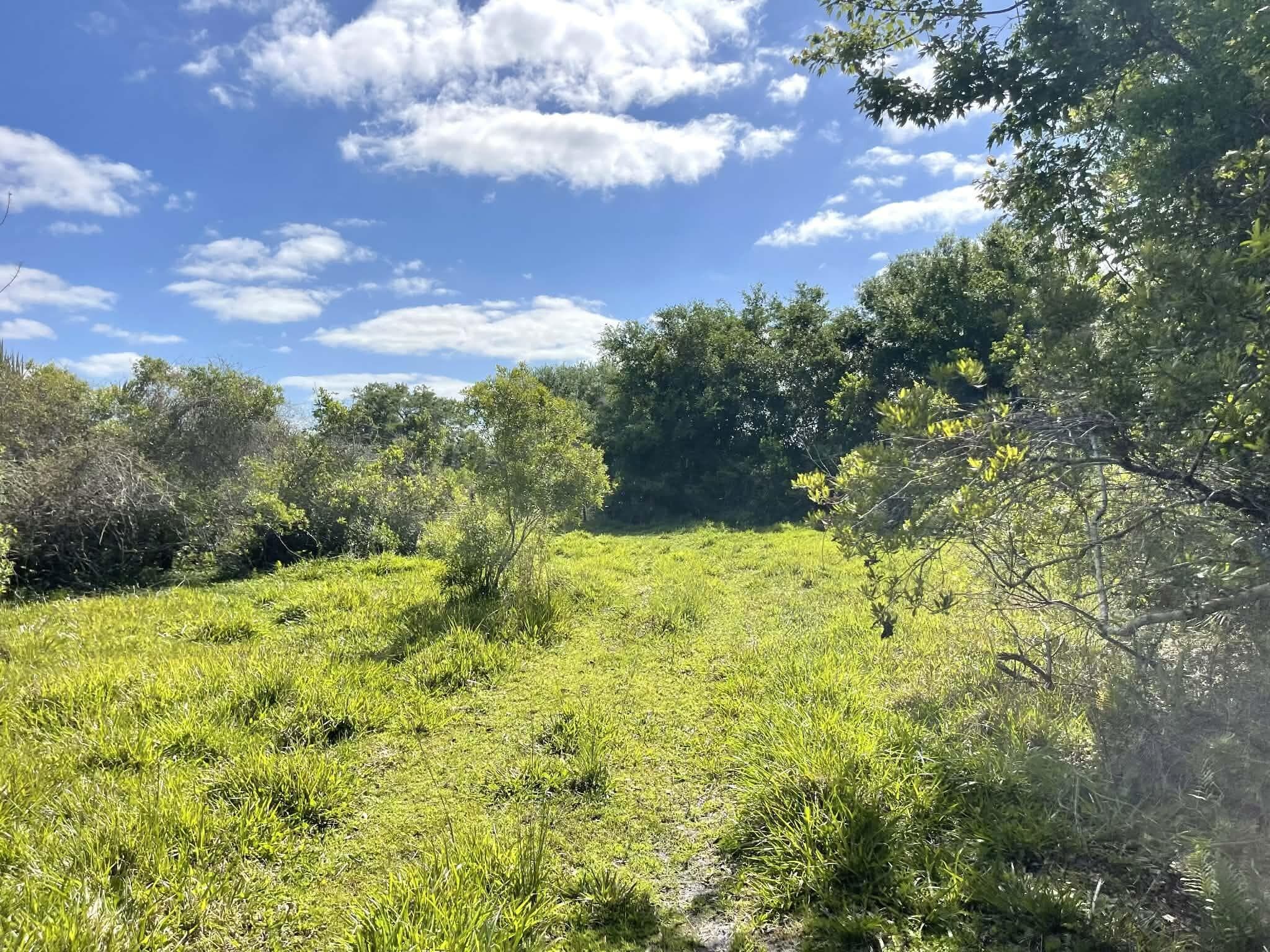 8121 NW 58th Lane, Okeechobee, FL 34972 — photo 69 of 86