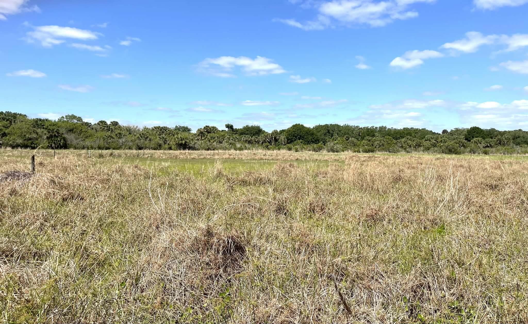 8121 NW 58th Lane, Okeechobee, FL 34972 — photo 79 of 86