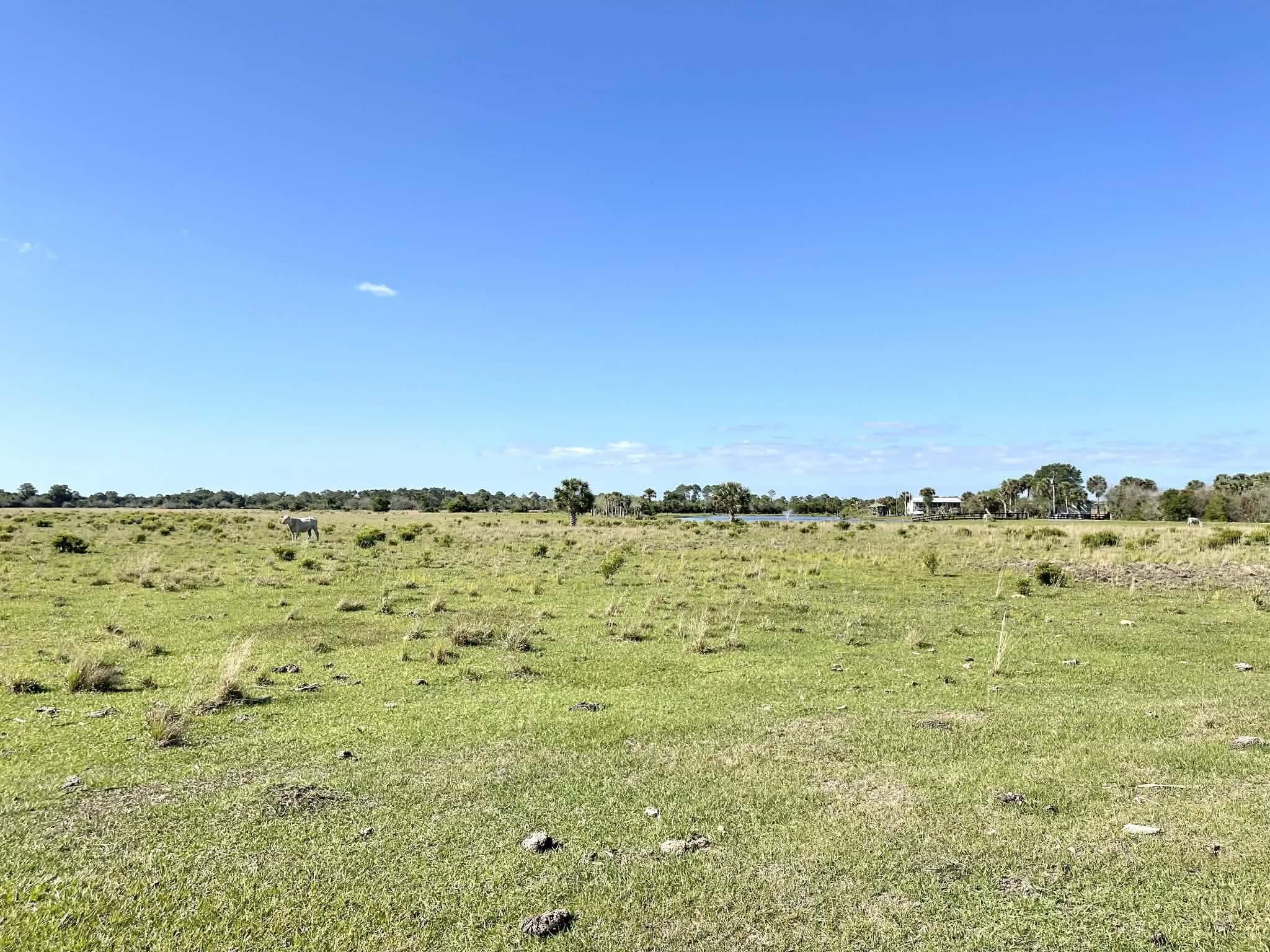 8121 NW 58th Lane, Okeechobee, FL 34972 — photo 66 of 86