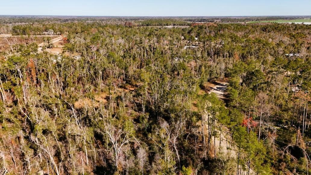 Lot 7 NW 27th Terrace, Jennings, FL 32053 — photo 8 of 12