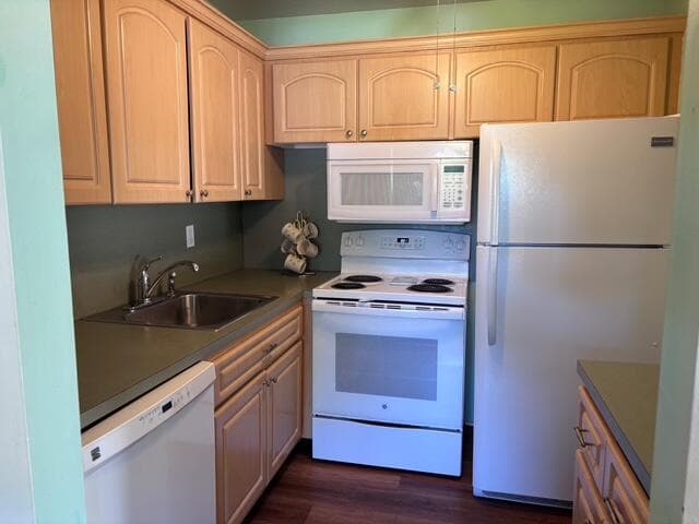 340 W Horizons 205, Boynton Beach, FL 33435 — photo 4 of 31
