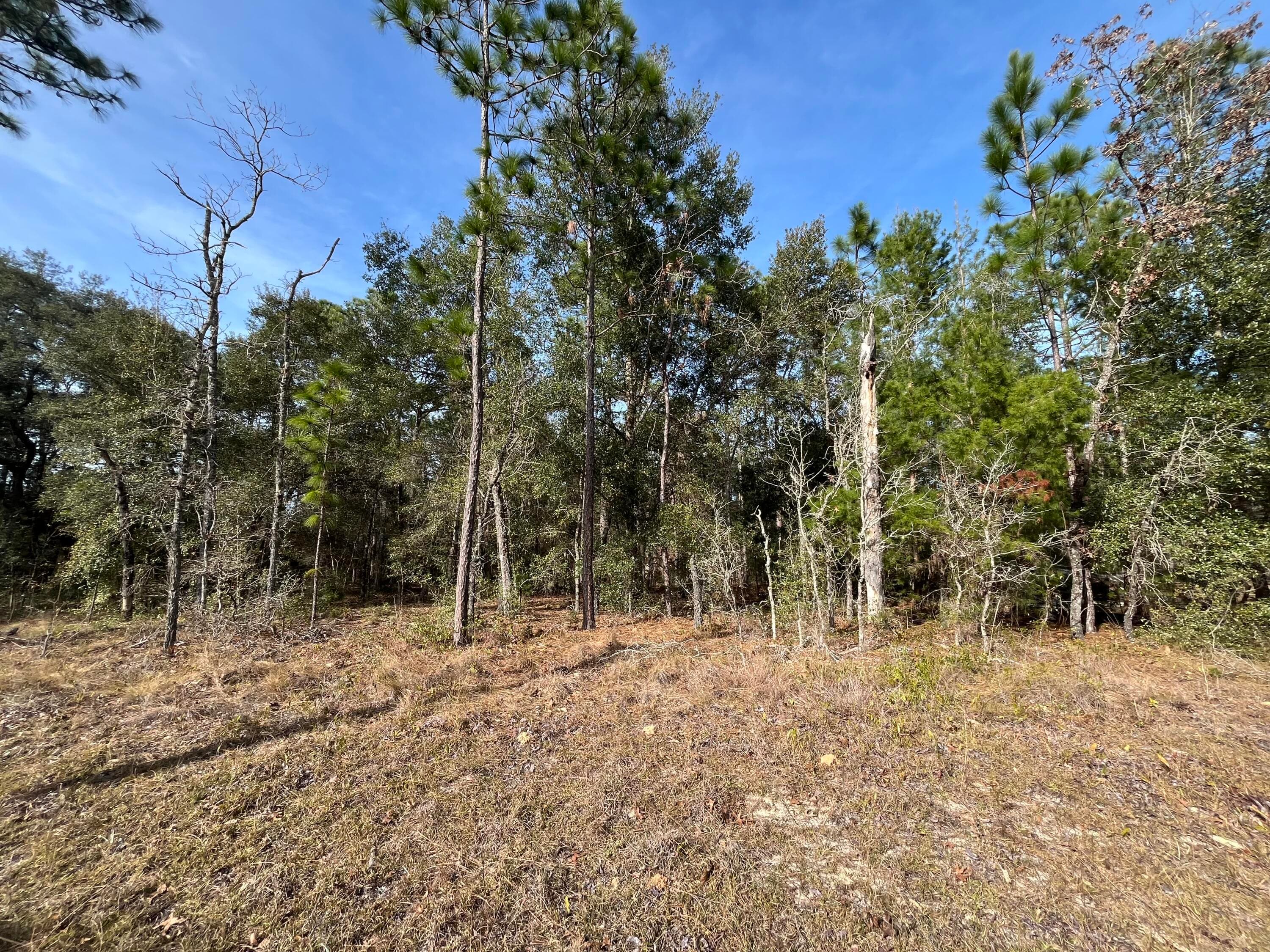 6168 Emory Avenue, Keystone Heights, FL 32656 — photo