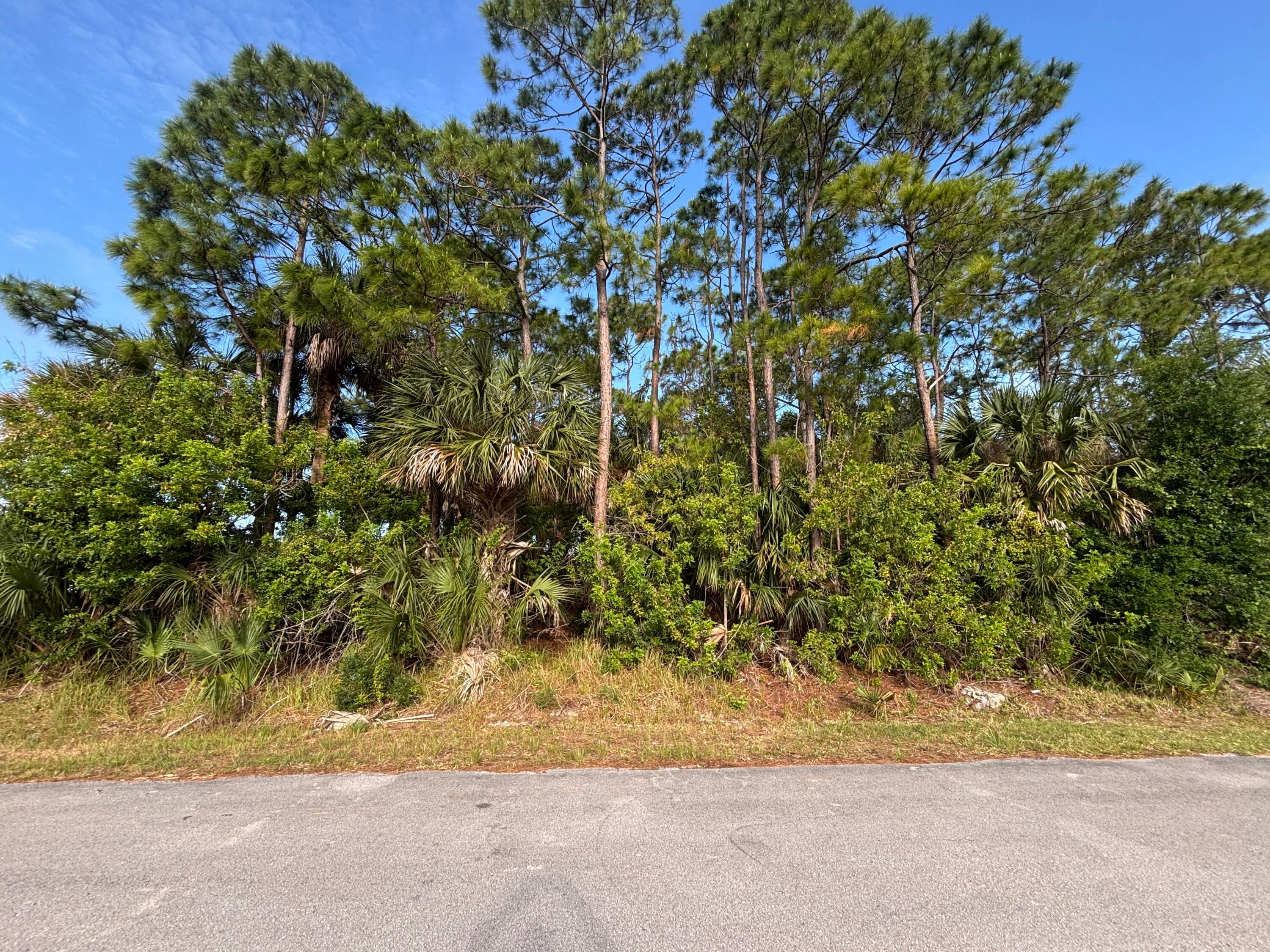 556 NE Burlington Ave Avenue NE, Palm Bay, FL 32907 — photo 1 of 8