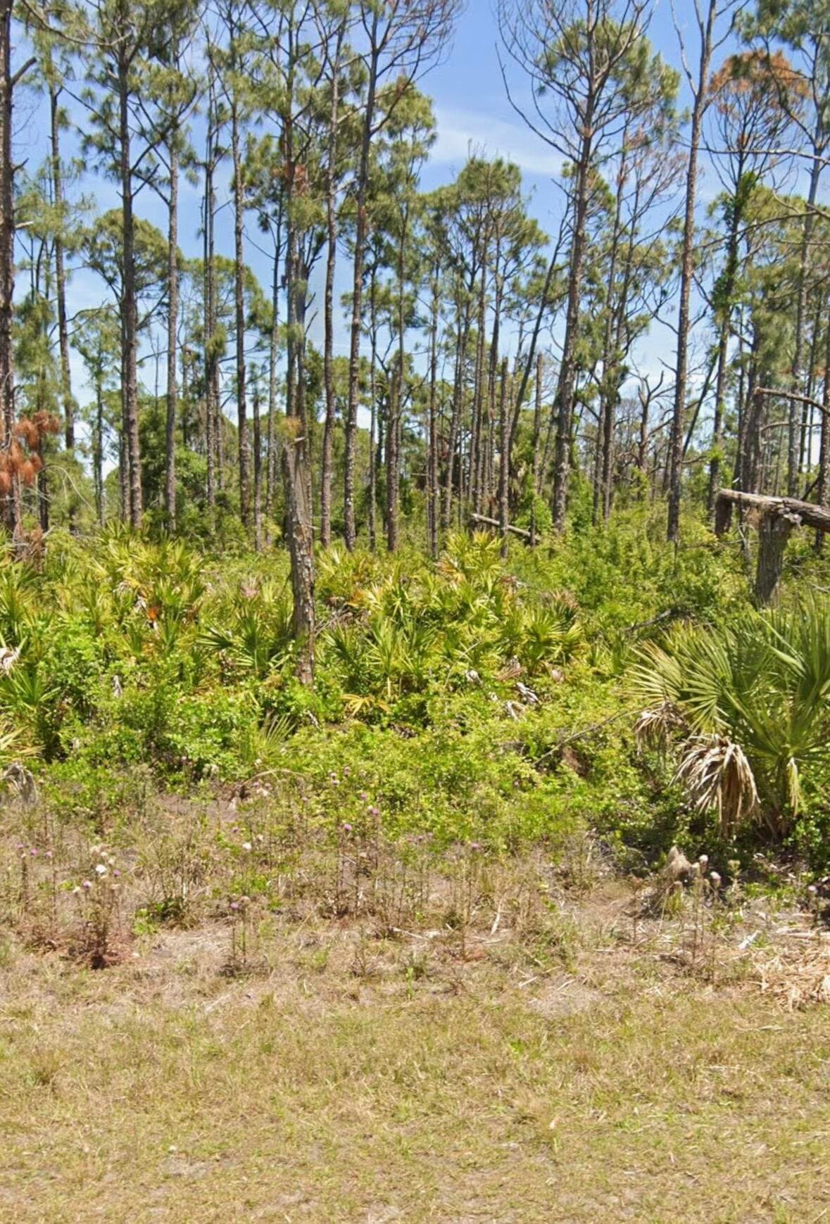 7430 Coach Road, Port Charlotte, FL 33981 — photo 1 of 3