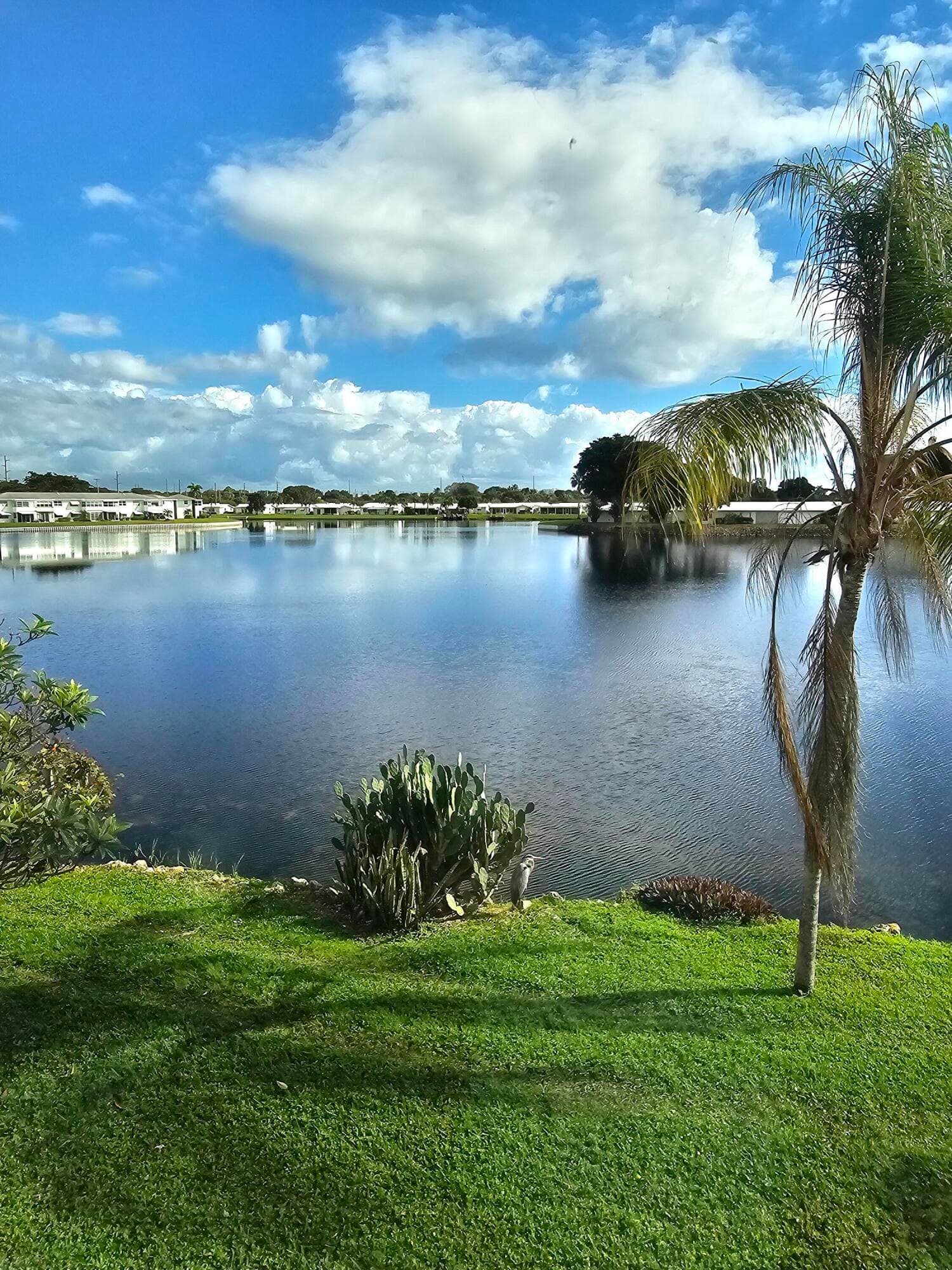 1118 Lake Terrace 217 H, Boynton Beach, FL 33426 — photo 65 of 67