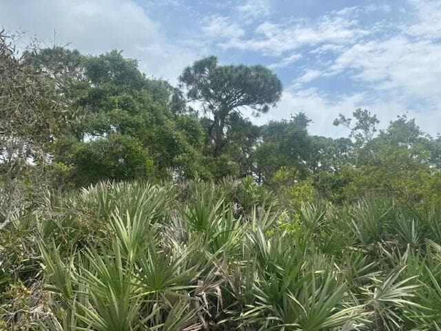0 Turnpike Feeder Road, Fort Pierce, FL 34945 — photo 2 of 4