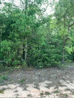 0 Gardenia Drive, Marianna, FL 32448 — photo