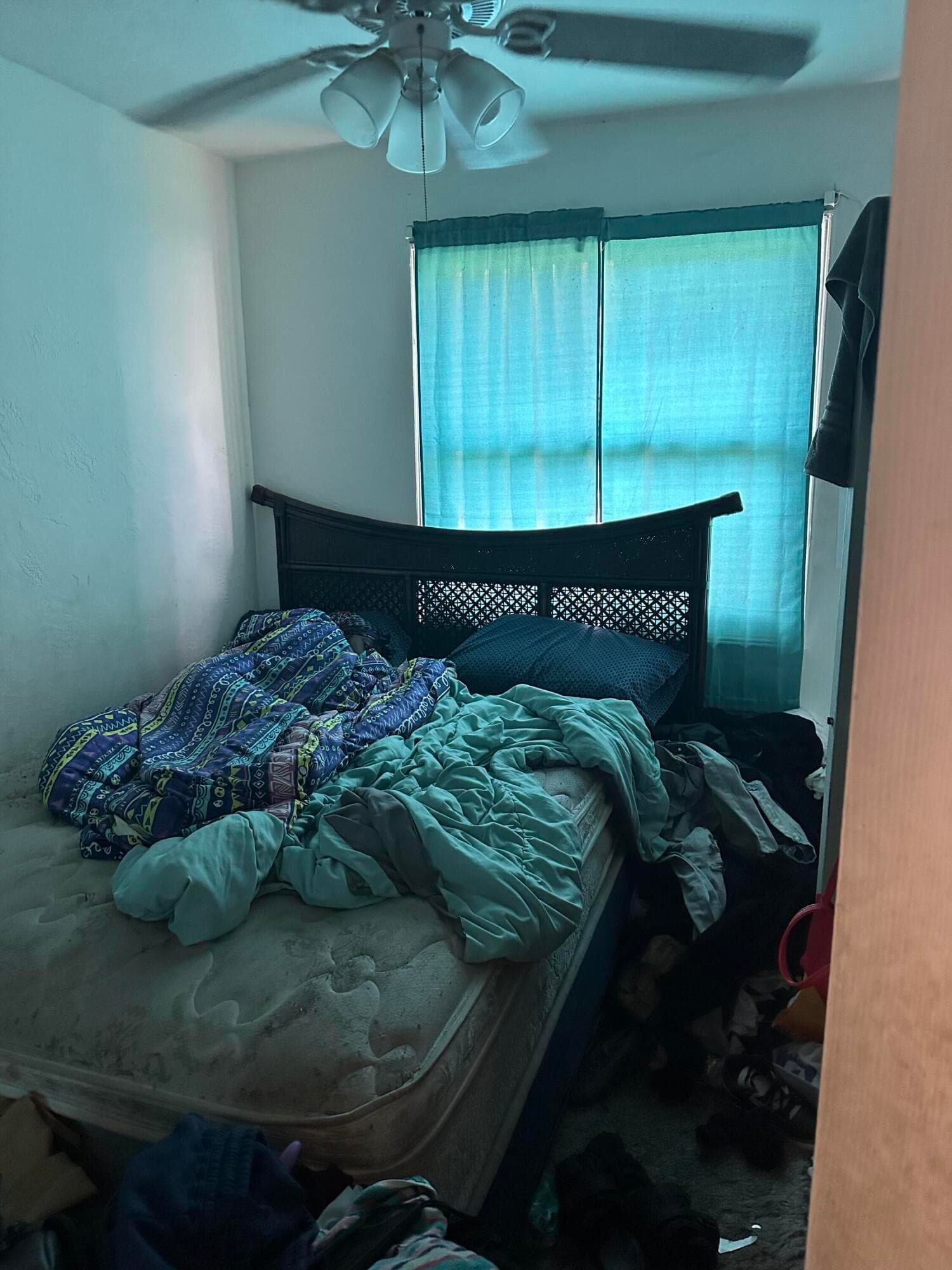 2114 Dewey Street, Hollywood, FL 33020 — photo 12 of 24