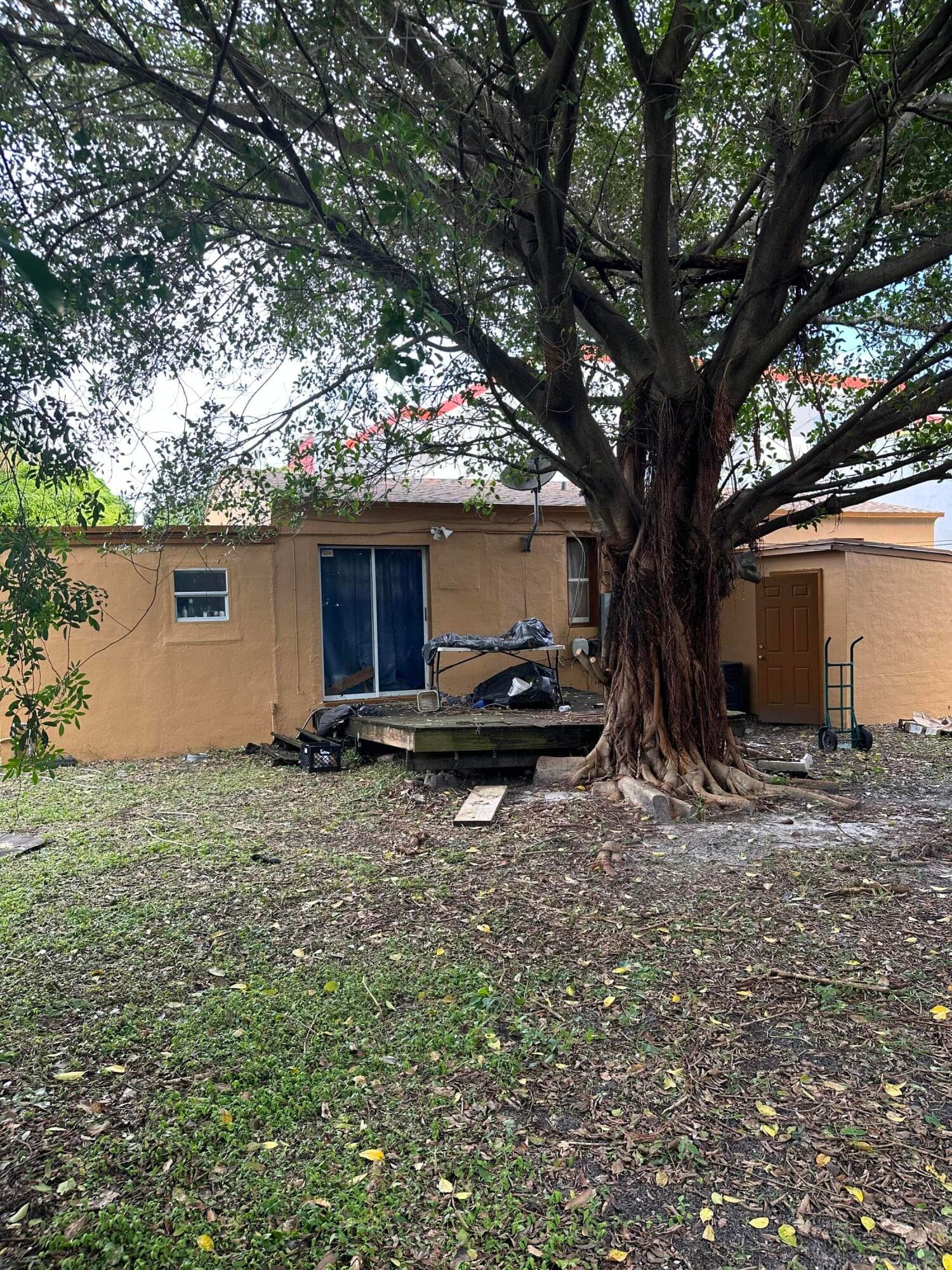 2114 Dewey Street, Hollywood, FL 33020 — photo 18 of 24